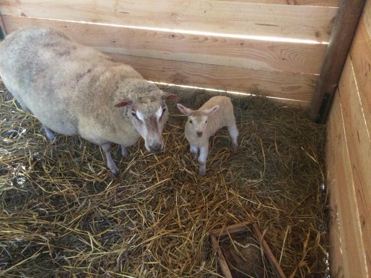 Gites Matilon, 5 Min Eugenie Les Bains Buanes Zewnętrze zdjęcie